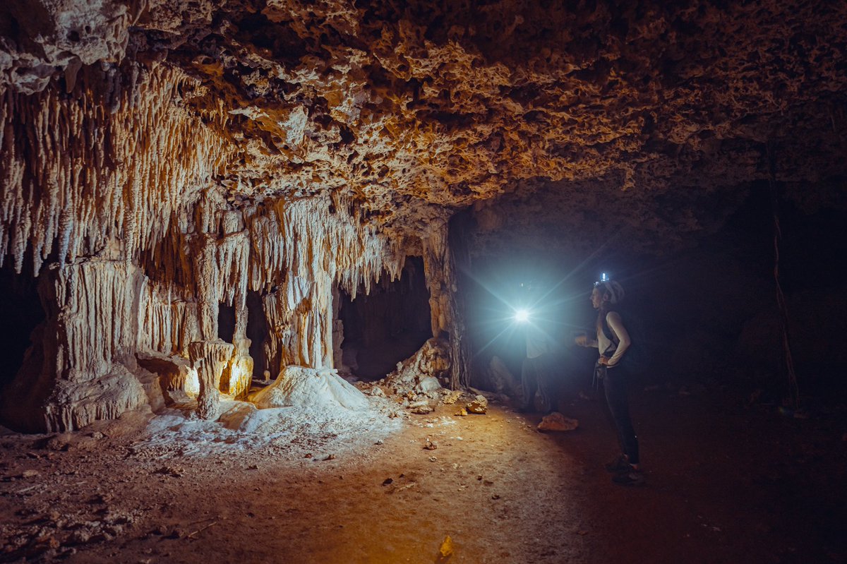 cris_n0's tweet photo. Cueva subterránea de 47km de largo😨. De las más largas de México y el mundo 🇲🇽🌎 . Caminamos 4 horas dentro de ella. RESGUARDA NUESTRA AGUA POTABLE💧. Y sí, queda debajo del @TrenMayaMX. https://t.co/Ax96ei3T0t