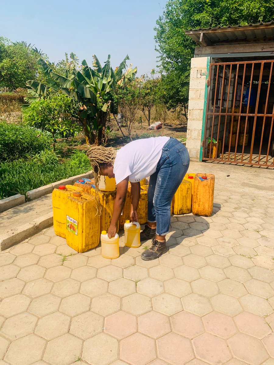 MonicaTembo17's tweet photo. Hello Zed twitter I’m selling 100% SUNFLOWER OIL (purified)😊. Please help support this small business by retweeting. A client could be on your TL https://t.co/uQqMyZFdT7