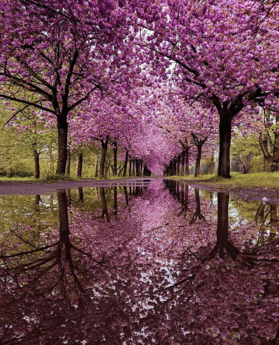 Sofistikada06's tweet photo. .

💗💗💗💗💗💗💗💗💗💗💗💗💗💗

﹀﹀﹀﹀﹀﹀﹀﹀﹀﹀﹀﹀﹀﹀﹀﹀﹀﹀﹀﹀﹀﹀﹀﹀ https://t.co/tjQelD6Cnh