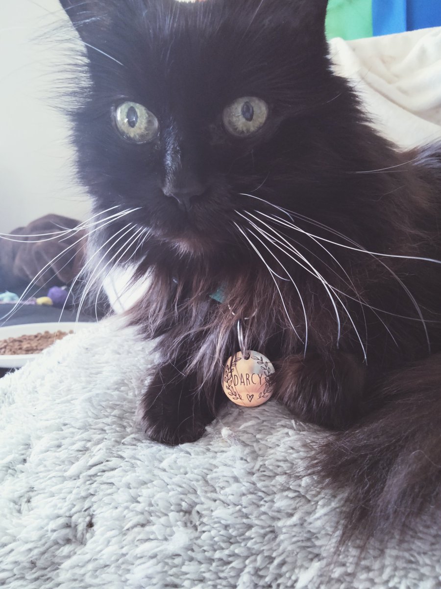 PretzelLoaf's tweet photo. She means so much to me💕 https://t.co/VBoOxfWBlp