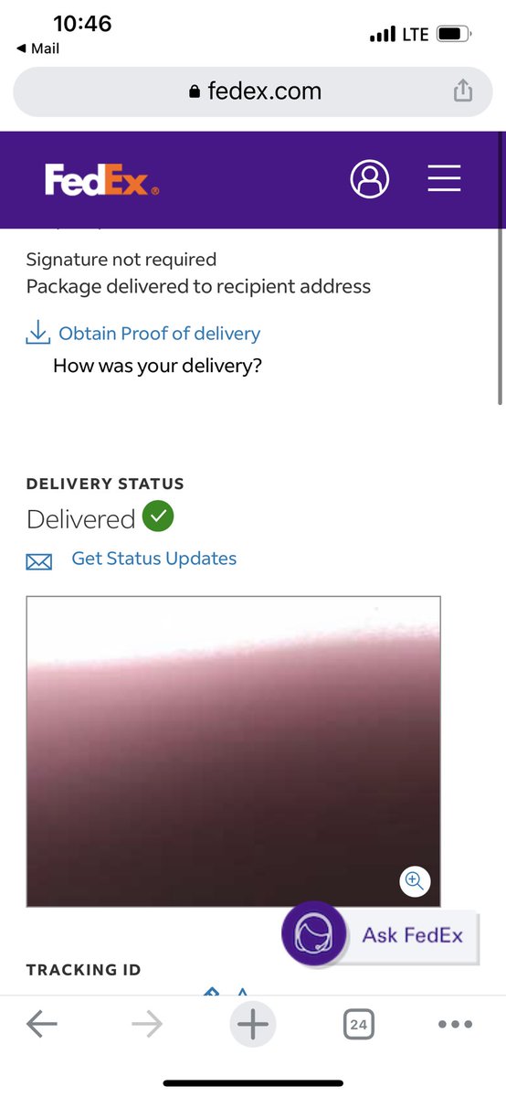 Thanks for the delivery confirmation picture <a href="/FedEx/">FedEx</a>