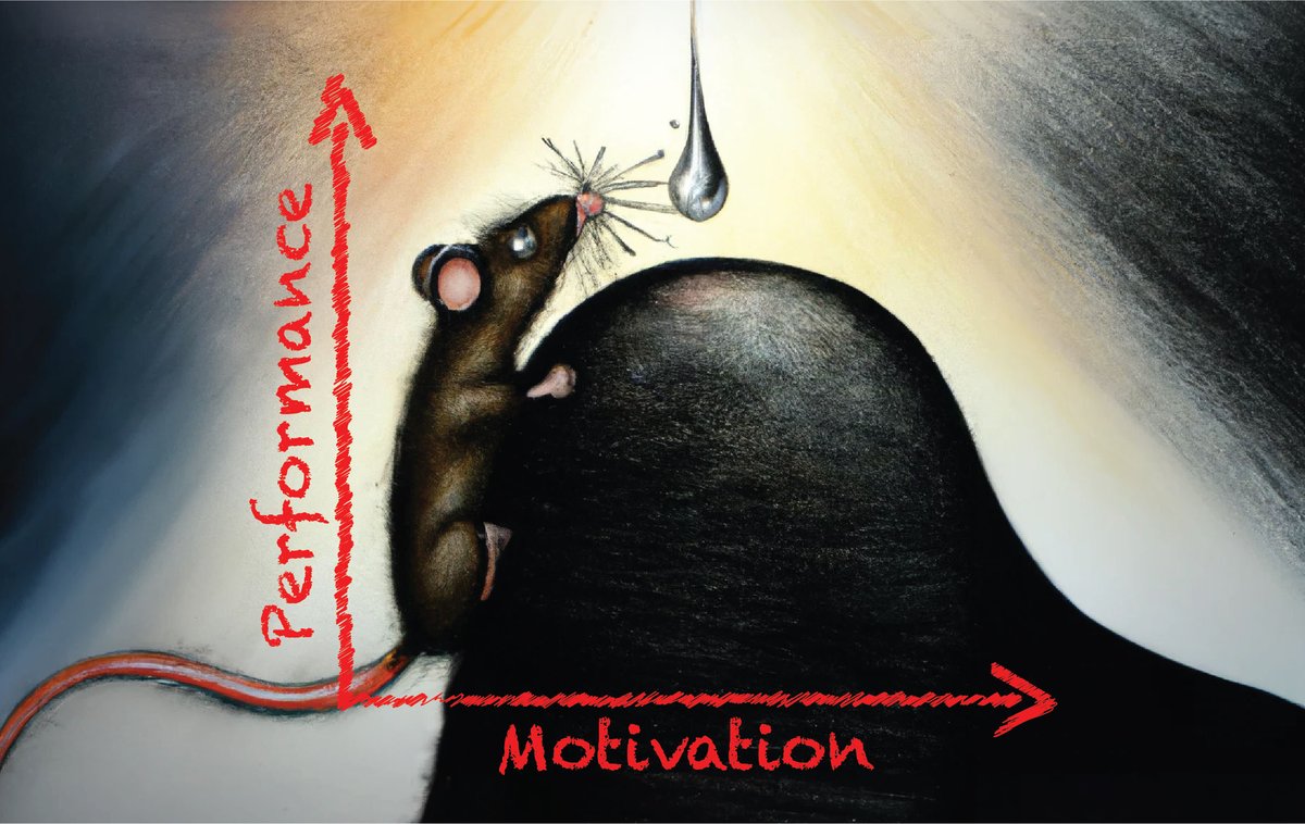 Sami El-Boustani (@elboustanilab) on Twitter photo #tweetprint: How does motivation affect performance and sensory processing during goal-directed behavior?
Check out our new <a href="/NeuroCellPress/">Neuron</a> paper with <a href="/giulio_matt/">Giulio Matteucci</a> and <a href="/GtnMaelle/">Maëlle Guyoton</a>, in collaboration with <a href="/EPFL_Petersen/">Carl Petersen</a> where we address this issue cell.com/neuron/fulltex… 🧵👇(1/5) #tweetprint: How does motivation affect performance and sensory processing during goal-directed behavior?
Check out our new <a href="/NeuroCellPress/">Neuron</a> paper with <a href="/giulio_matt/">Giulio Matteucci</a> and <a href="/GtnMaelle/">Maëlle Guyoton</a>, in collaboration with <a href="/EPFL_Petersen/">Carl Petersen</a> where we address this issue cell.com/neuron/fulltex… 🧵👇(1/5)