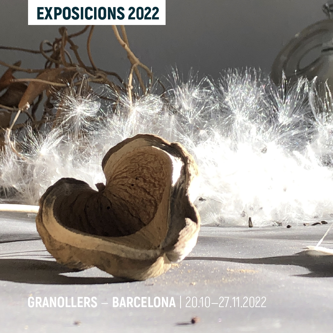 panoramic_fest's tweet photo. ⥠EXPOSICIONS Panorà mic 2022
Lâherbari especular. Una anĂ lisi dâallĂČ humĂ a la botĂ nica, de Paula BrunaÂ
FundaciĂł Foto ColectaniaÂ
Del 20 dâoctubre al 27 de novembre 2022
đ” MĂ©s informaciĂł a la bio.
#Exposicions #FestivalPanorĂ mic #PanorĂ micGranollers #P2022 #ElQuartPaisatge https://t.co/aGOMNBP1W6