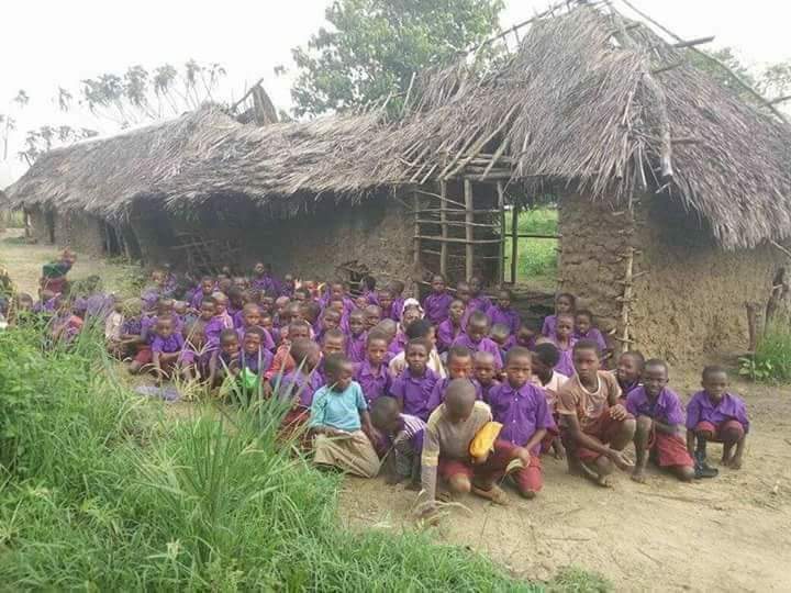 A pig president carrying grass to thatch a ramshackle school after sending his to study in the UK and America