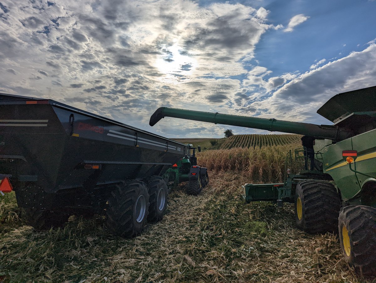 Figured 🌱 tweet media