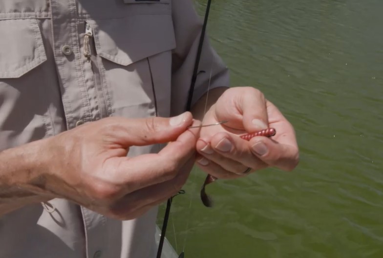 SPORTSMANchnl's tweet photo. Worms have been the most popular soft-plastic bait for bass for decades. There is a huge variety of colors and styles, and two of the best ways to tempt fish are with a Texas-style rig and a shakyhead. Catch tips at https://t.co/9Po6VnW0BD. @Streamlight. #BassFishing #PlasticWorm https://t.co/K0btGZLQUM