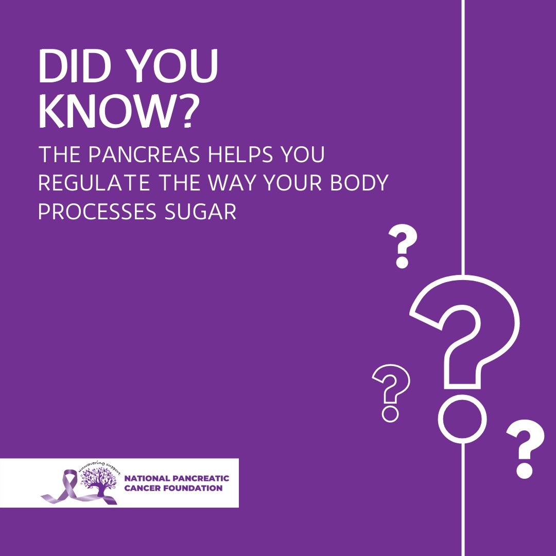 NationalPCF's tweet photo. The key is compound foods rich in protein and low on animal fats but featuring antioxidants like vitamin C or E - all this will help produce more efficient BCL-2 molecules!
For more assistance, you can visit: https://t.co/A9F0ThbKgZ.
#hope4pc #pancreaticcancer https://t.co/tzIto38FId