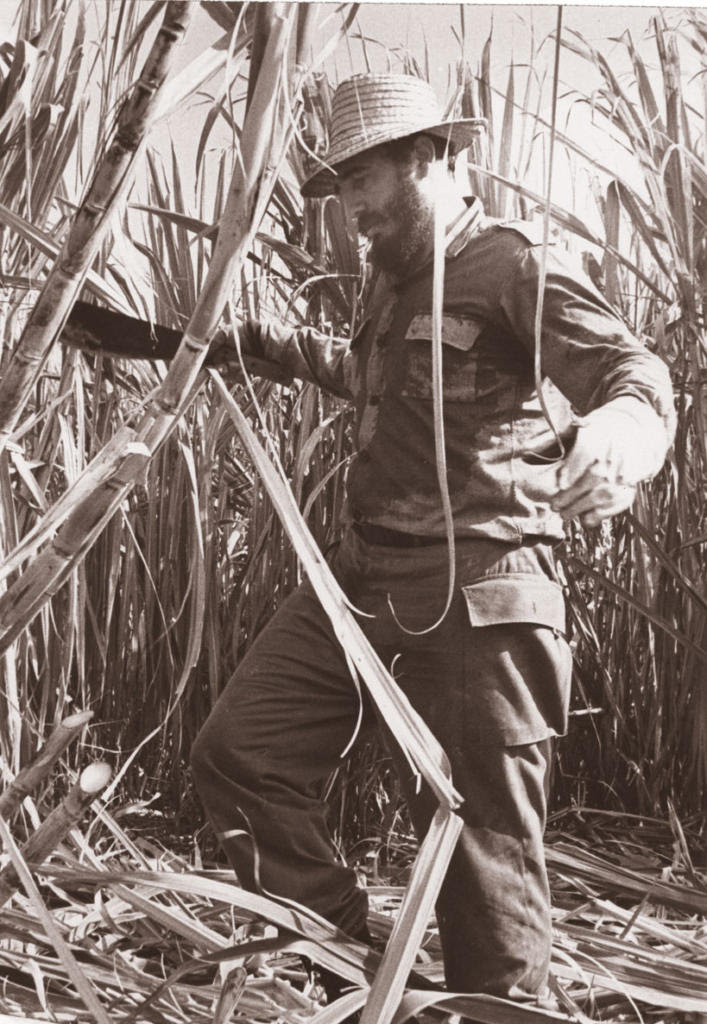"Entonces llegará, General de las Cañas…
en un caballo de agua y humo, para decir:
-Mirad, he aquí el azúcar ya sin lágrimas".
✍️ Nicolás Guillén
.
.
.
¡Feliz día del trabajador azucarero!