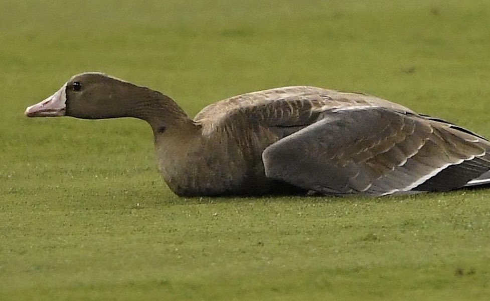 Steve Edwards (@steveedwardsam) on Twitter photo 