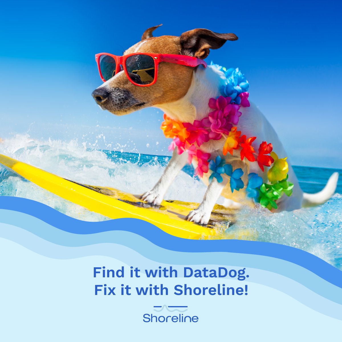 Shoreline.io tweet media