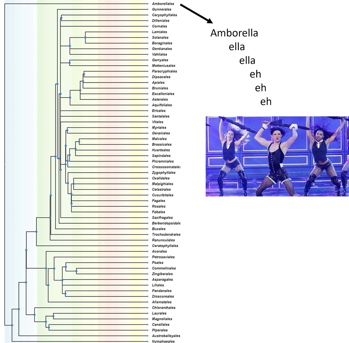 TimeTreeofLife tweet media