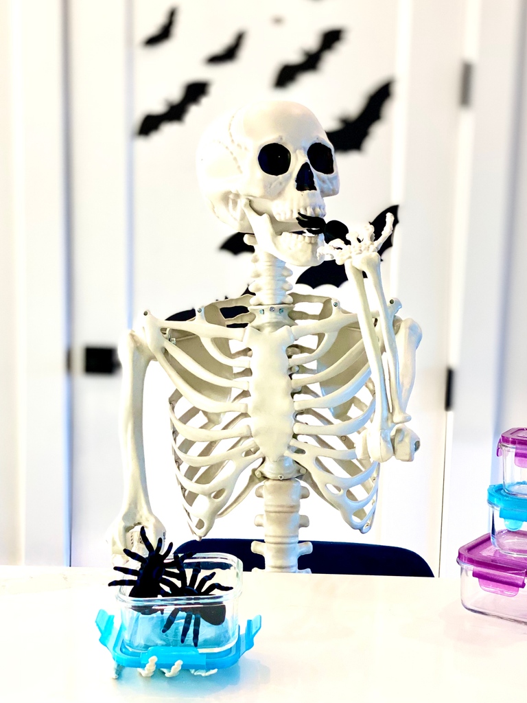 ☠️ Which will last longer? The skeleton or the endlessly reusable tempered glass food containers?