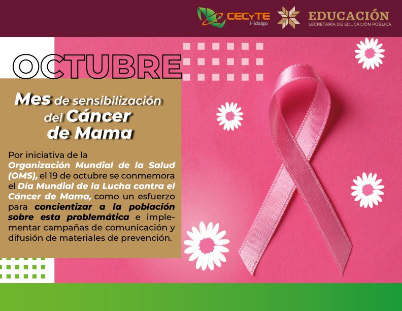 CECyTEHidalgo's tweet photo. Octubre mes de la sensibilización del #CáncerDeMama 👩🏻👩🏼‍🏭👩🏻‍🎓🧑🏻‍🦳👩🏼‍⚕️👩🏻‍🏫👩🏽‍💼🧑🏼‍🎤

#PrimeroLaSalud
#CECyTEHRosaExplórate https://t.co/KZpaxi3sS8