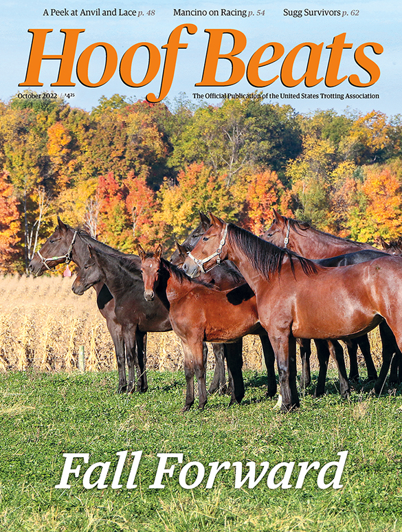 HarnessRacingDC's tweet photo. The cover of the October issue of Hoof Beats showcases mares and their foals at Ohio's Sugar Valley Farm. #ReadHB #AHoofAbove #HarnessRacing https://t.co/WdCvCVk059
