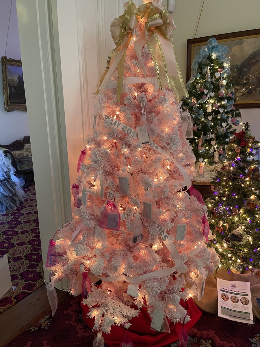 ResearchCenter2's tweet photo. Hi Christmas Elves, We could use a few handy helpers for a couple of hours to help with A Treemendous Celebration. Ken could use some extra hands working with lights on trees. Do you know any kids? husbands? friends? neighbors? Contact Ken at 920-797-9830. Or call the SCHRC. https://t.co/3rzB7QSS8v