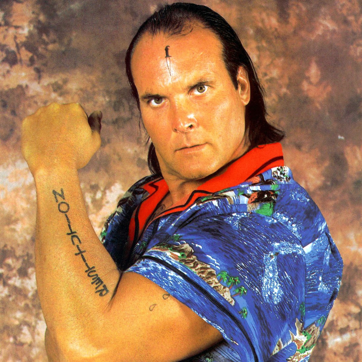 porkchopbranch's tweet photo. Pro wrestling birthdays for today include Nikolai Volkoff, Blackjack Lanza, "Dangerous" Dan Spivey (aka Waylon Mercy), and Stacy Keibler. #ProWrestlingBirthdays #NikolaiVolkoff #BlackjackLanza #DangerousDanSpivey #WaylonMercy #StacyKeibler https://t.co/GLOSsVapWu