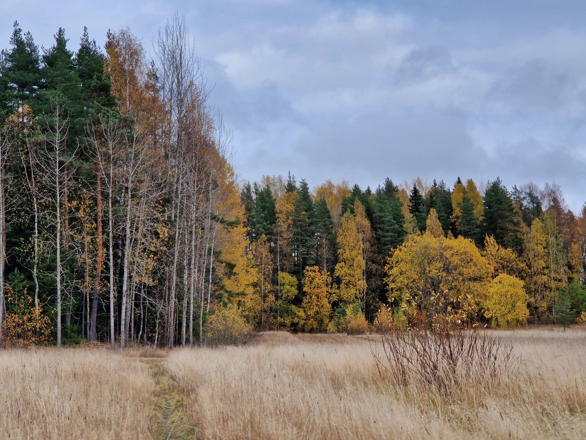 Joka päivä muuttuva maisema.

#luontokuva #lokakuu