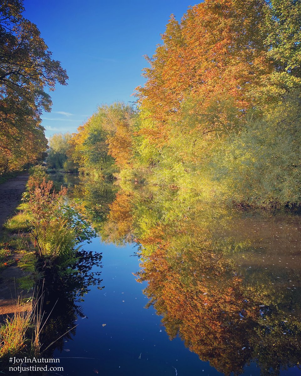 Joy In The Seasons tweet media