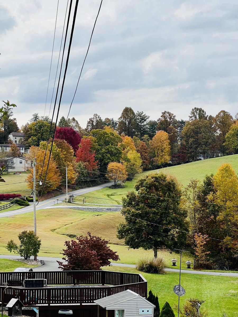 maddiekeffer's tweet photo. Drew knows how much I love fall and the colors of the trees changing so he always sends me pictures while he’s at work. 🌳🍂🥰 @MeRRiTTz_2 is the sweetest! https://t.co/igL8PwhnEa
