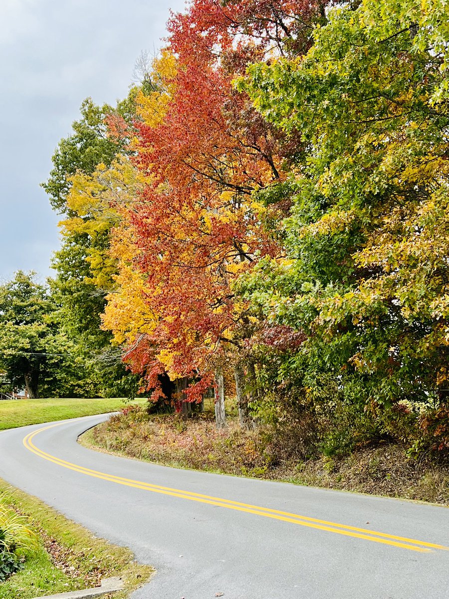 maddiekeffer's tweet photo. Drew knows how much I love fall and the colors of the trees changing so he always sends me pictures while he’s at work. 🌳🍂🥰 @MeRRiTTz_2 is the sweetest! https://t.co/igL8PwhnEa