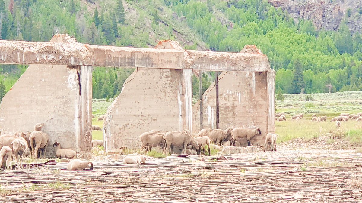 Colorado has a new National Park (Monument)! And we are thrilled it is Camp Hale. Come take a tour & learn about it: (VIDEO): original.newsbreak.com/@colorado-mart…

#CampHale #nationalparks #nationalpark #nationalparkservice #military #oldfort #colorado #leadvillle #rockymountains