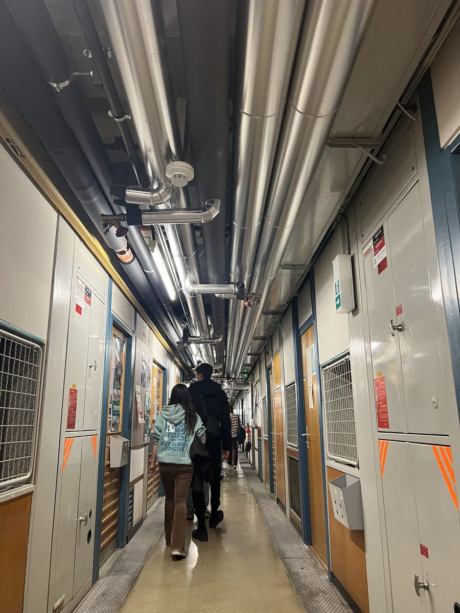 Mrs Javed tweet media