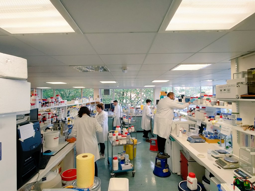 Collinson Lab tweet media