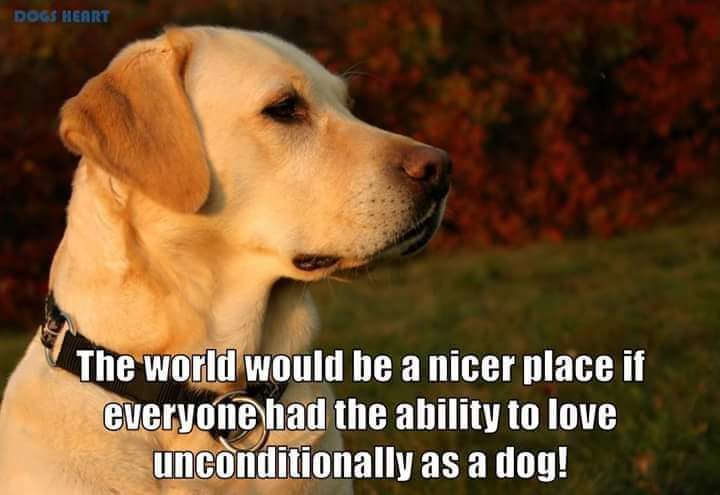 Brig Arun Bajpai (@arunbajpai) on Twitter photo 