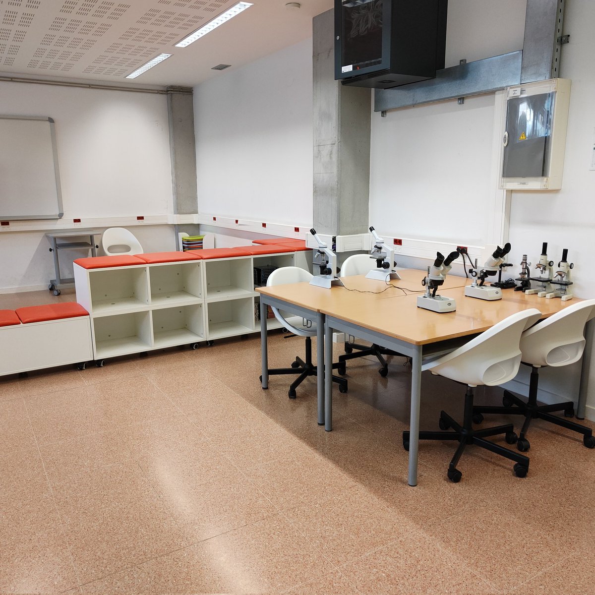 eva_aviso's tweet photo. Un somni fet cada vegada més realitat "Aula del futur a Escola La Mitjana de Lleida" #crpsegria #educacio #intef #udl https://t.co/PmTEPz3bus
