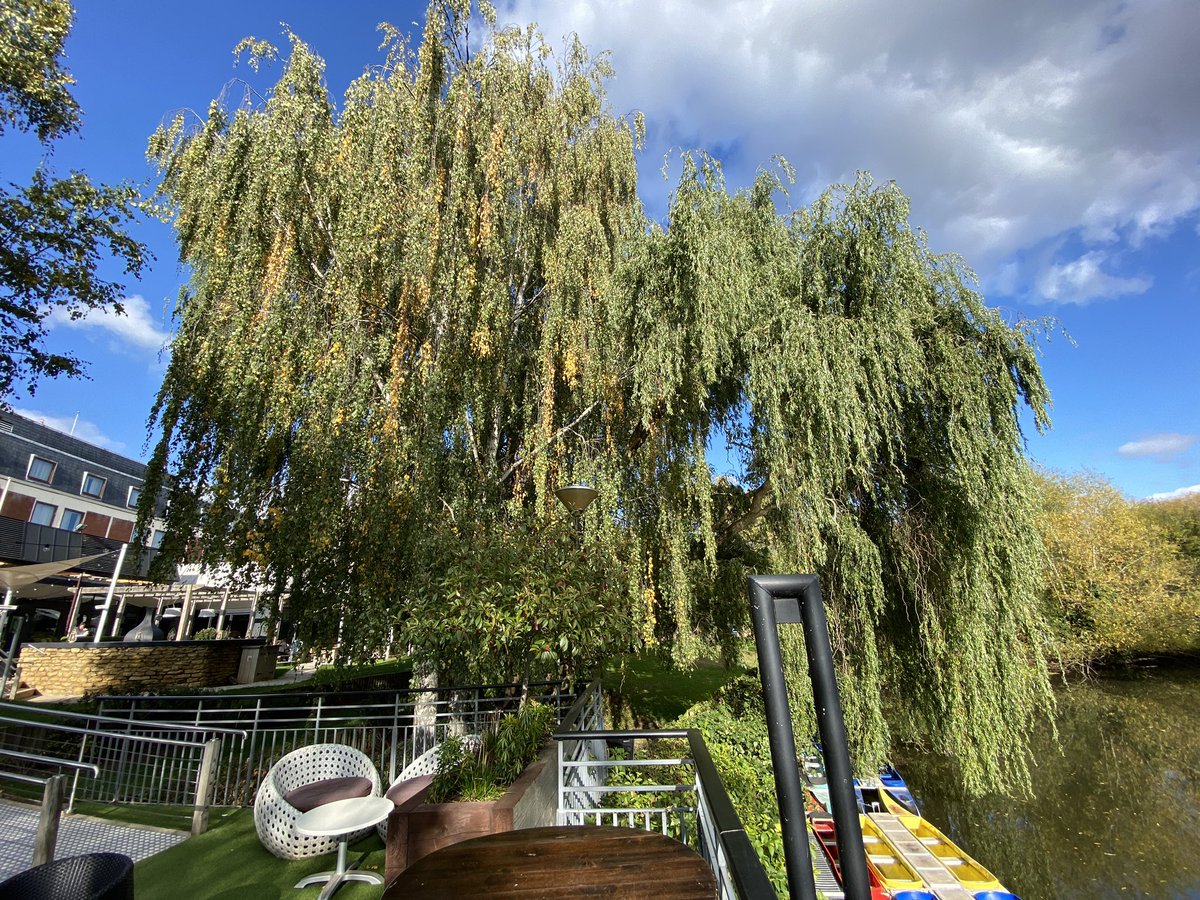 mconlon68's tweet image. It’s been a great first day here at MAT Summit 2022 amid excellent conversations about leadership, transformation and the role of @wearexma in supporting that, and the power of that sits in Office365 and Windows 11 

#oeMAT