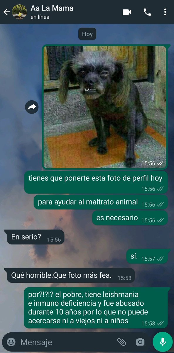 taquicardio_'s tweet image. lo que me acabo d reír con esta mierda