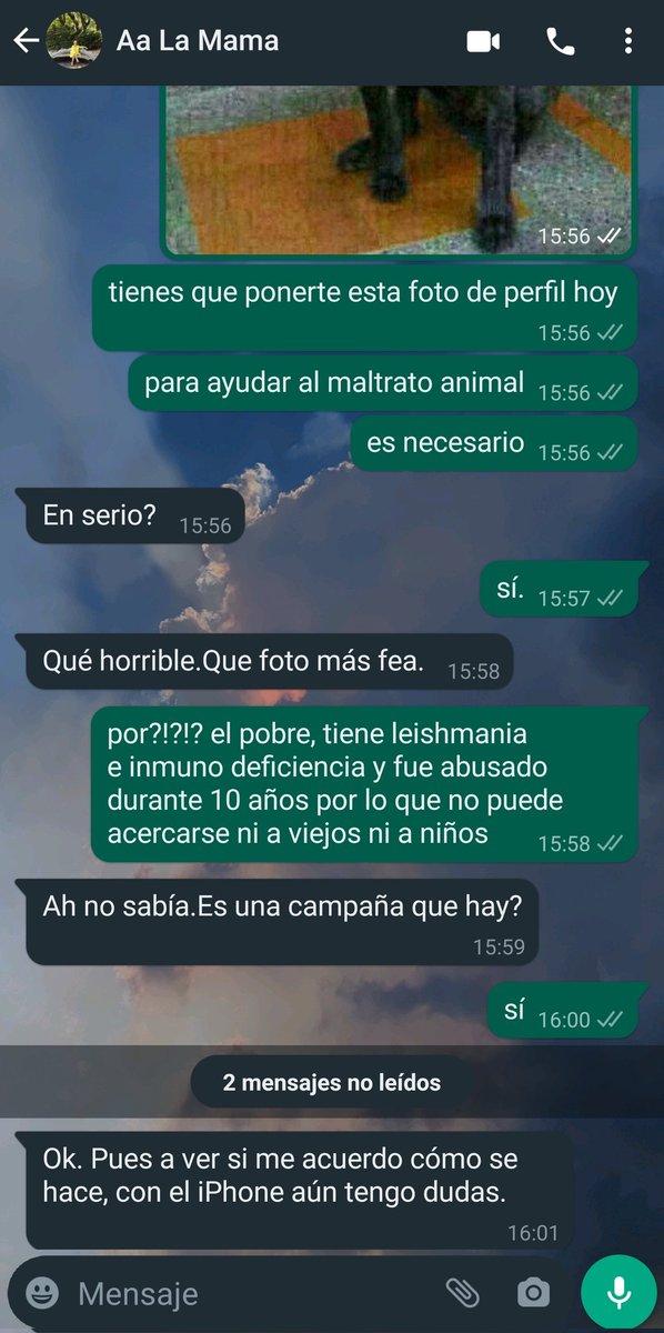 taquicardio_'s tweet image. lo que me acabo d reír con esta mierda