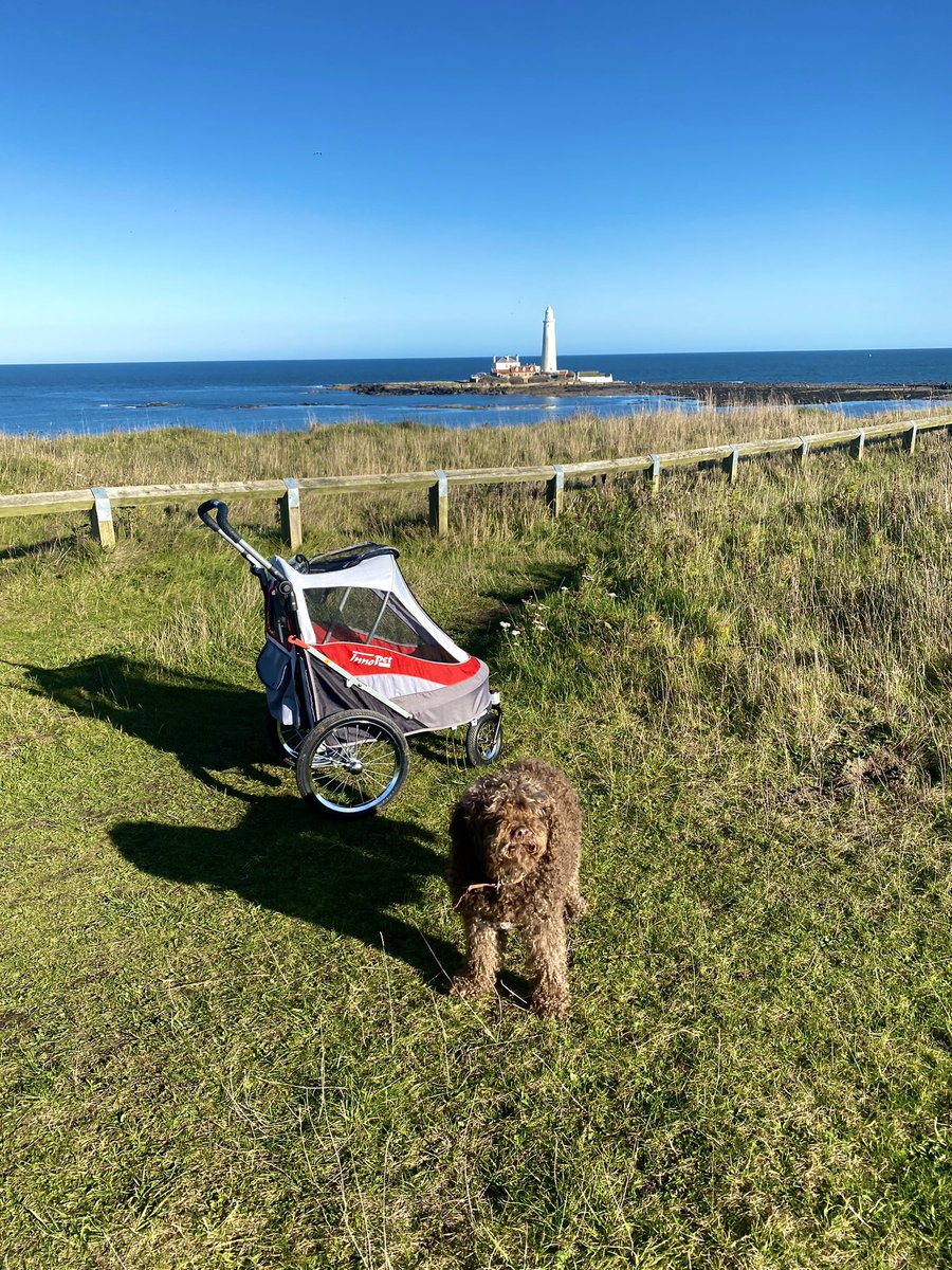 cocos mum tweet media