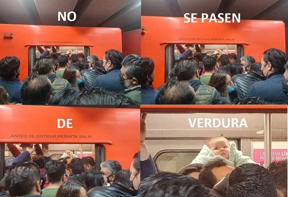 WETROCDMX tweet media