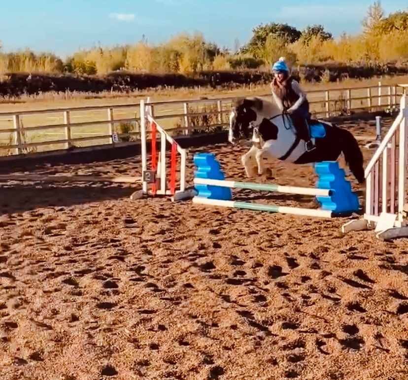 MerlinBakery's tweet image. Some fun this morning with a four-legged friend🐴. what are you up to today with your four-legged best friend drop a photo in the comments section below🐴🐴 #equestrian #equine #equestrainlife #smallbusinessuk #equestrians #equinetreats