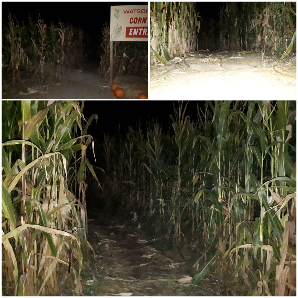 Firehouse tweet media