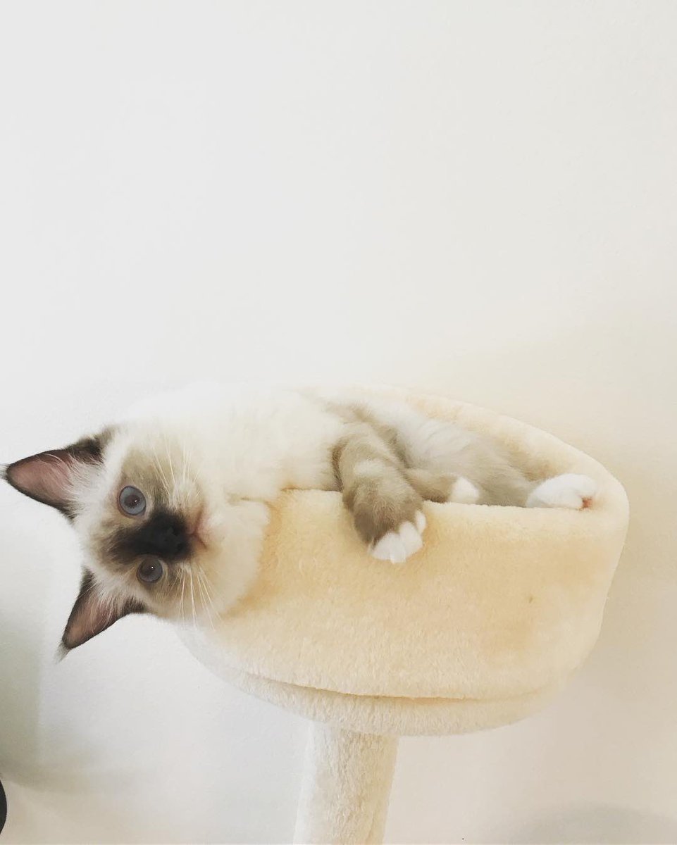 What are you trying to say? Mimi!