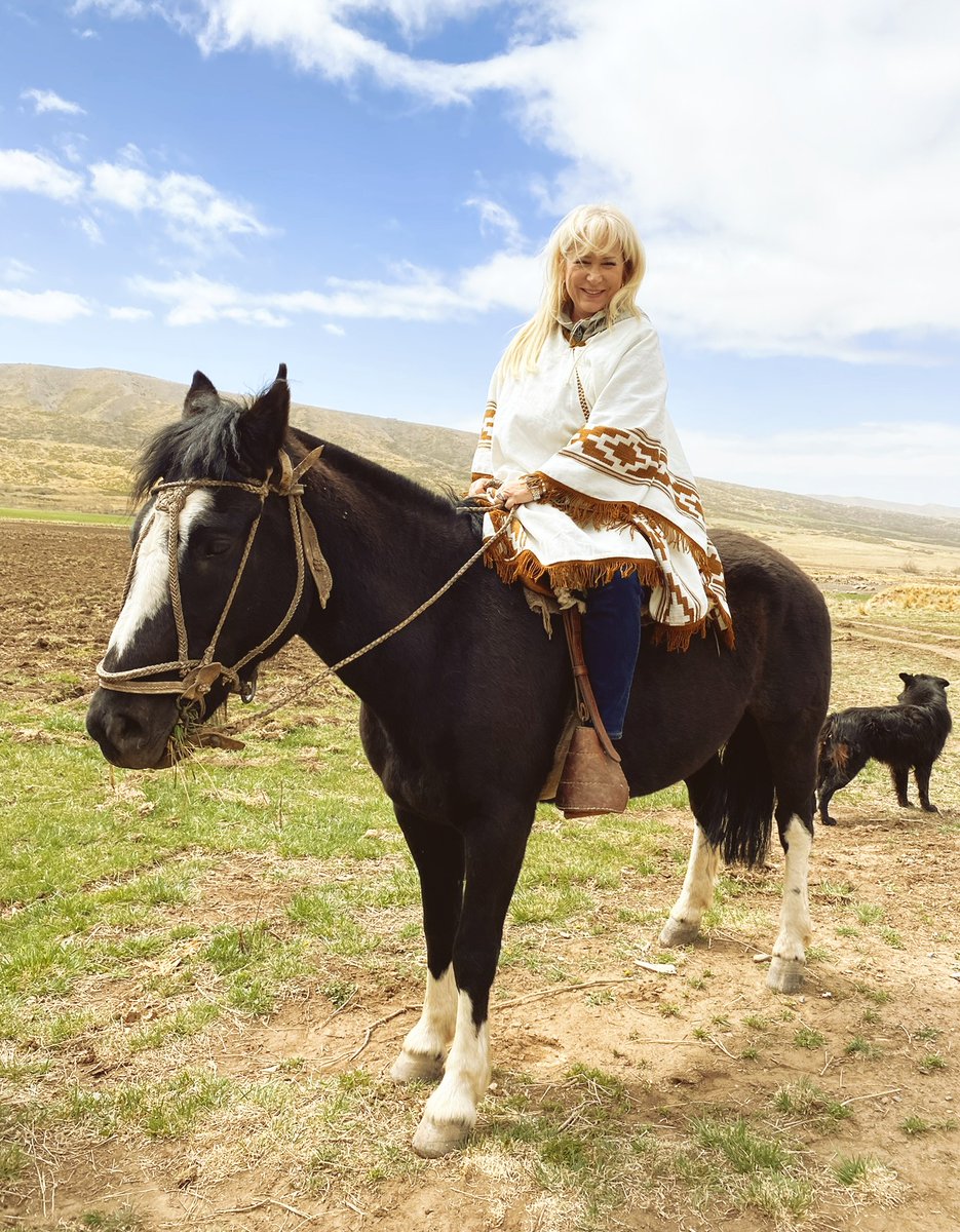 Best way to see the Andes? On all fours, of course! 🐎⛰️Truly an incredibly awe-inspiring experience to see the beauty of Chile and Argentina up close and personal. #Chile #Argentina #Mendoza #luxurytraveladvisor #virtuosotravel