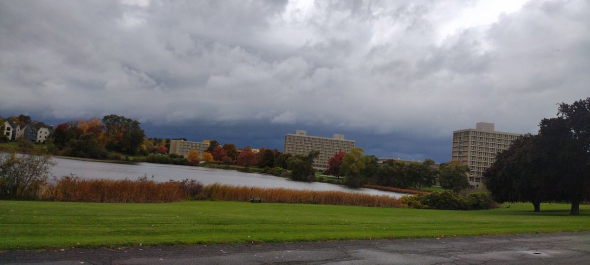 SammyKarlssonWX's tweet photo. The incoming line of storms, just before it 10 minutes before it arrived. https://t.co/8nfjr9sOch