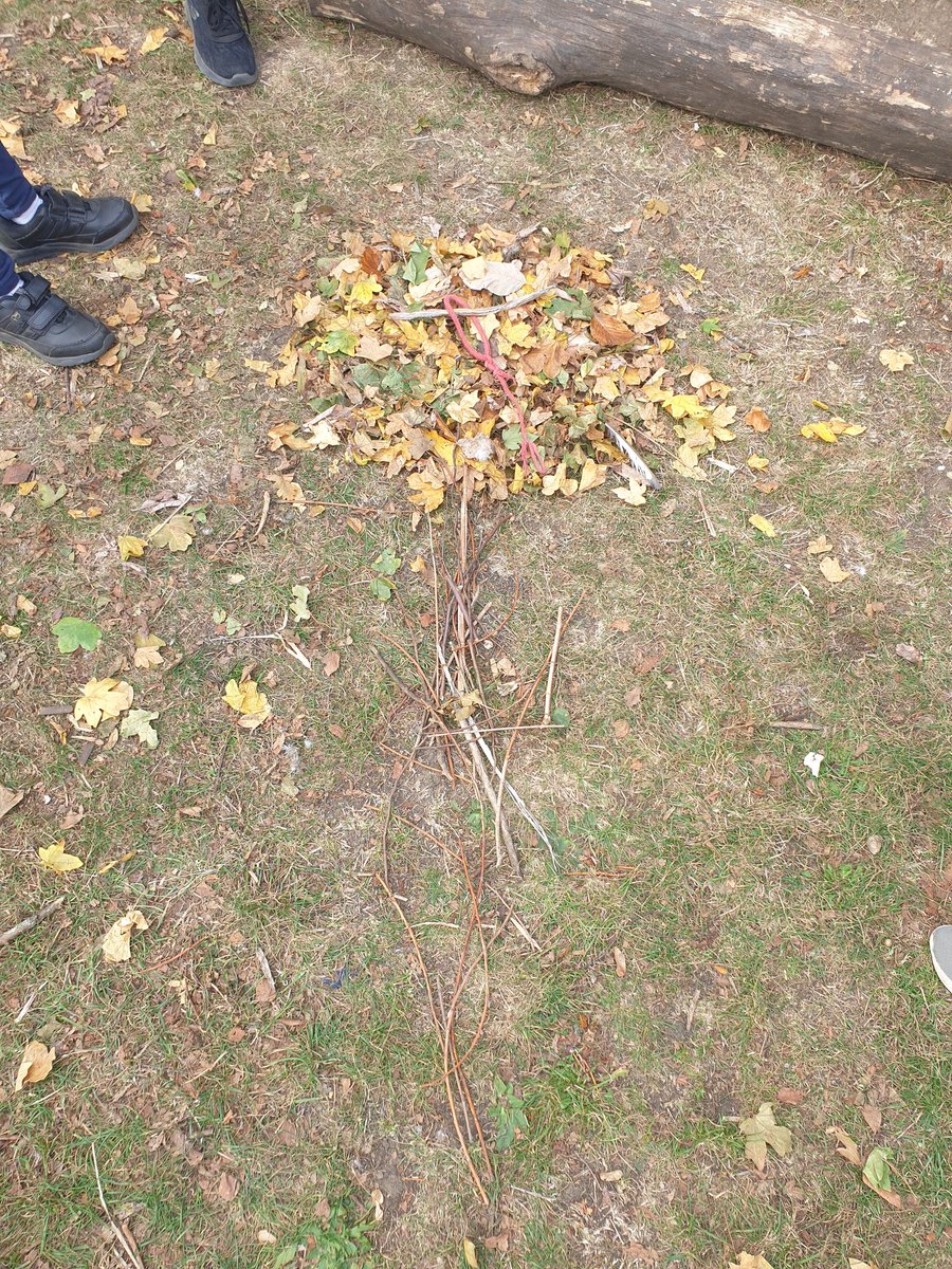 Lovely afternoon with year 5 teaching PE skills to Year 2 and then made leaf art together
