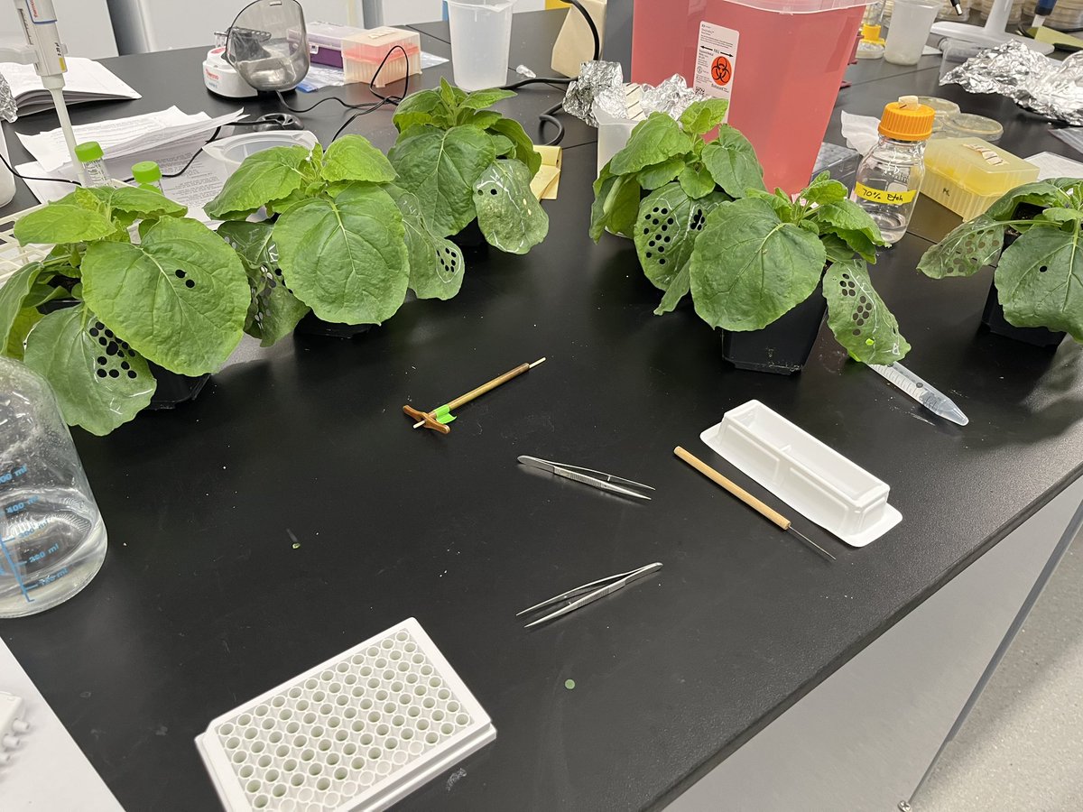 Benjamin J. Spears tweet media