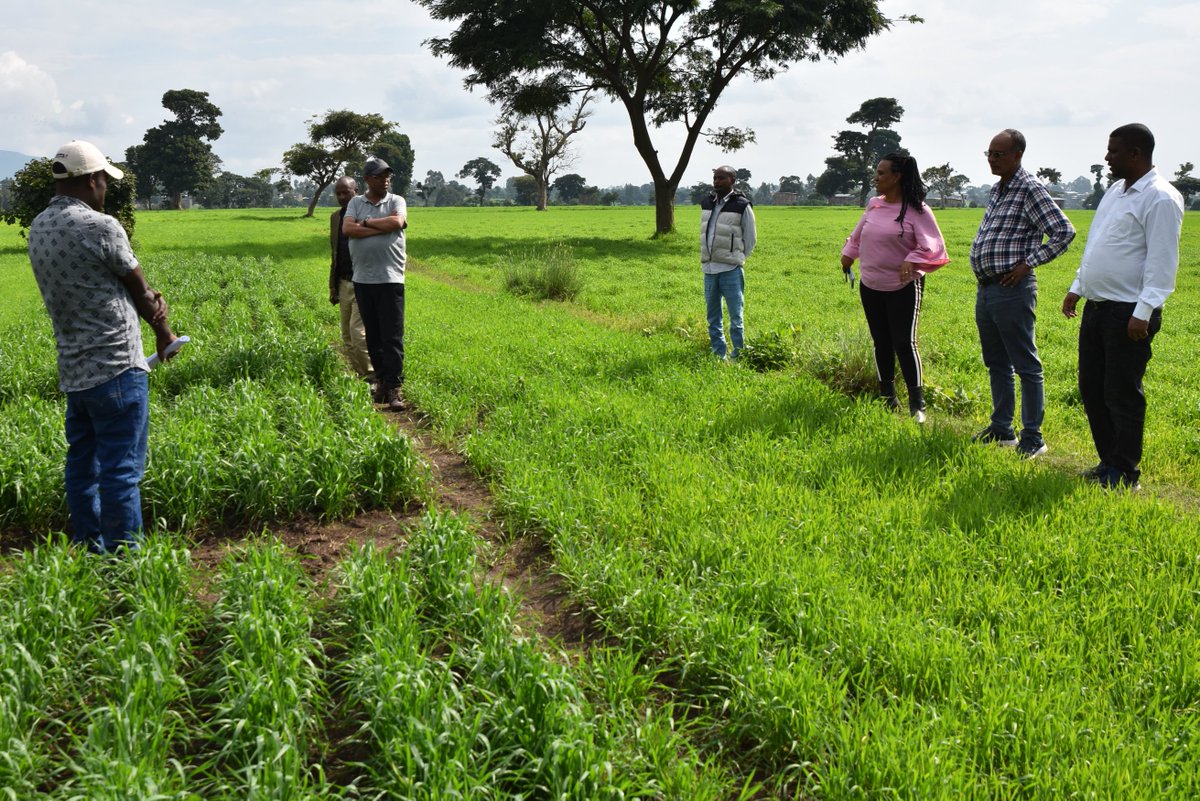 REFOOTURE Ethiopia tweet media