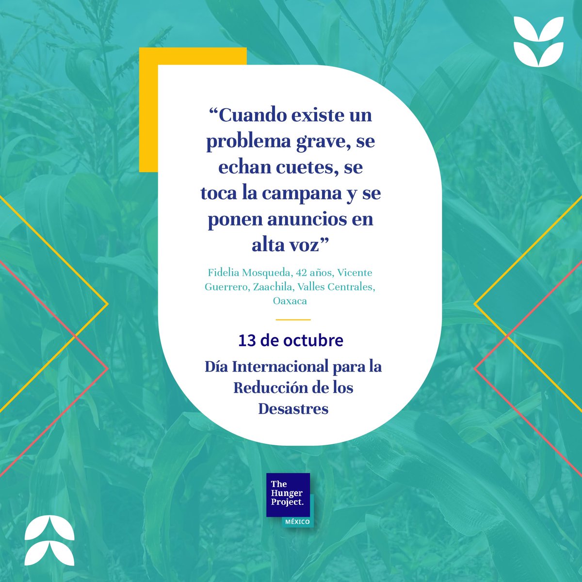 THPMexico's tweet photo. 13 de Octubre. Día Internacional para la Reducción de Desastres 
#DRRDay #DiaInternacionalParaLaReduccionDeDesastres #TheHungerProjectMéxico #THPMéxico https://t.co/qAGm4h8Pl2