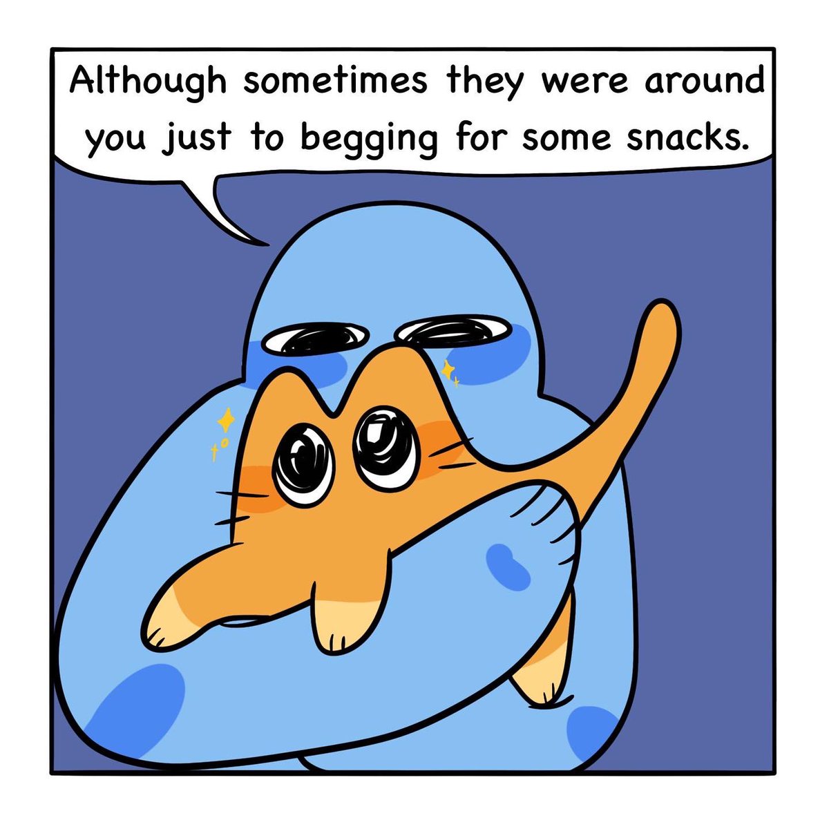 #CatsOfTwitter #illustration