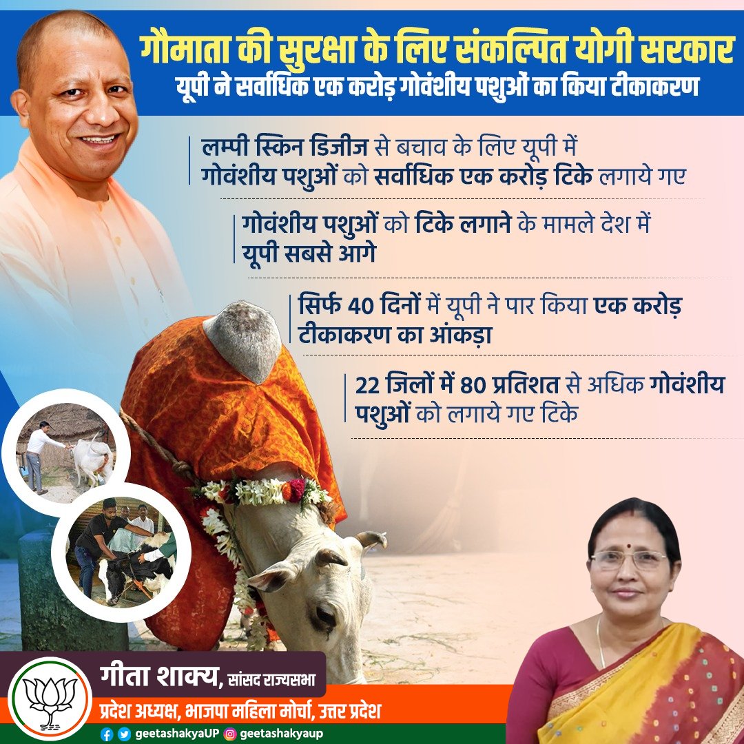 मा. मुख्यमंत्री @myogiadityanath जी के नेतृत्व में सरकार गौमाता की सुरक्षा के लिए पूरी तरह संकल्पित है। प्रदेश में एक करोड़ से ज्यादा गोवंशीय पशुओं का टीकाकरण किया जा चूका है। जबकि 22 जिलों में 80 प्रतिशत से अधिक गोवंशीय पशुओं को टिके लगाये जा चुके है। #lumpiVaccination #UP
