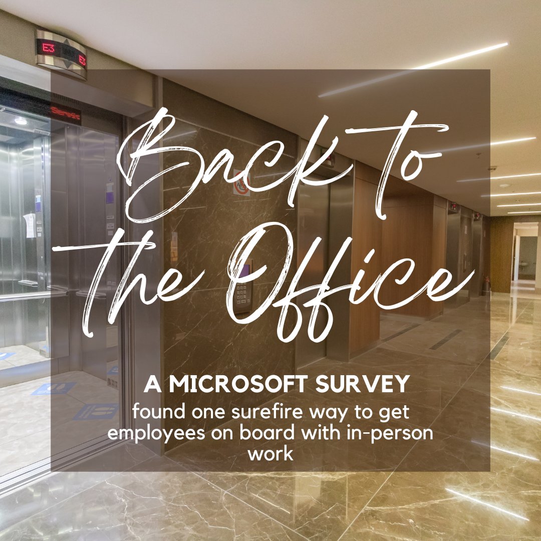 BlacklightSays's tweet photo. We've fallen hard for the WFH lifestyle, and the only way to get people back into the office is by providing the things missing from remote work. https://t.co/k7j2PzGkNJ https://t.co/gD9iiY5eYP