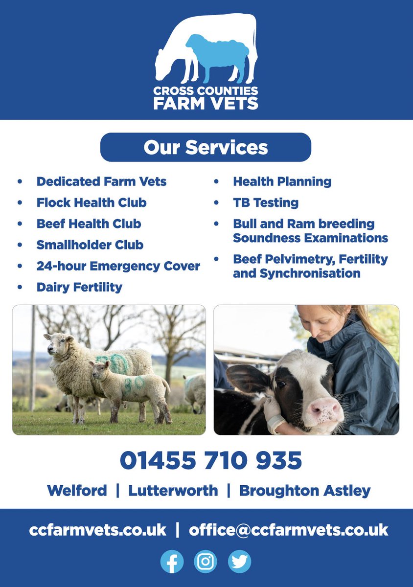 ABAB Calf Show tweet media