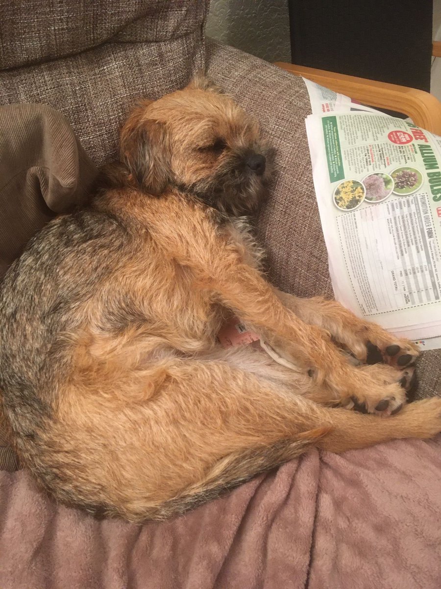 Stanley_BT_'s tweet photo. Yes I’m reading the paper still #BTPosse https://t.co/D4glis8UXS