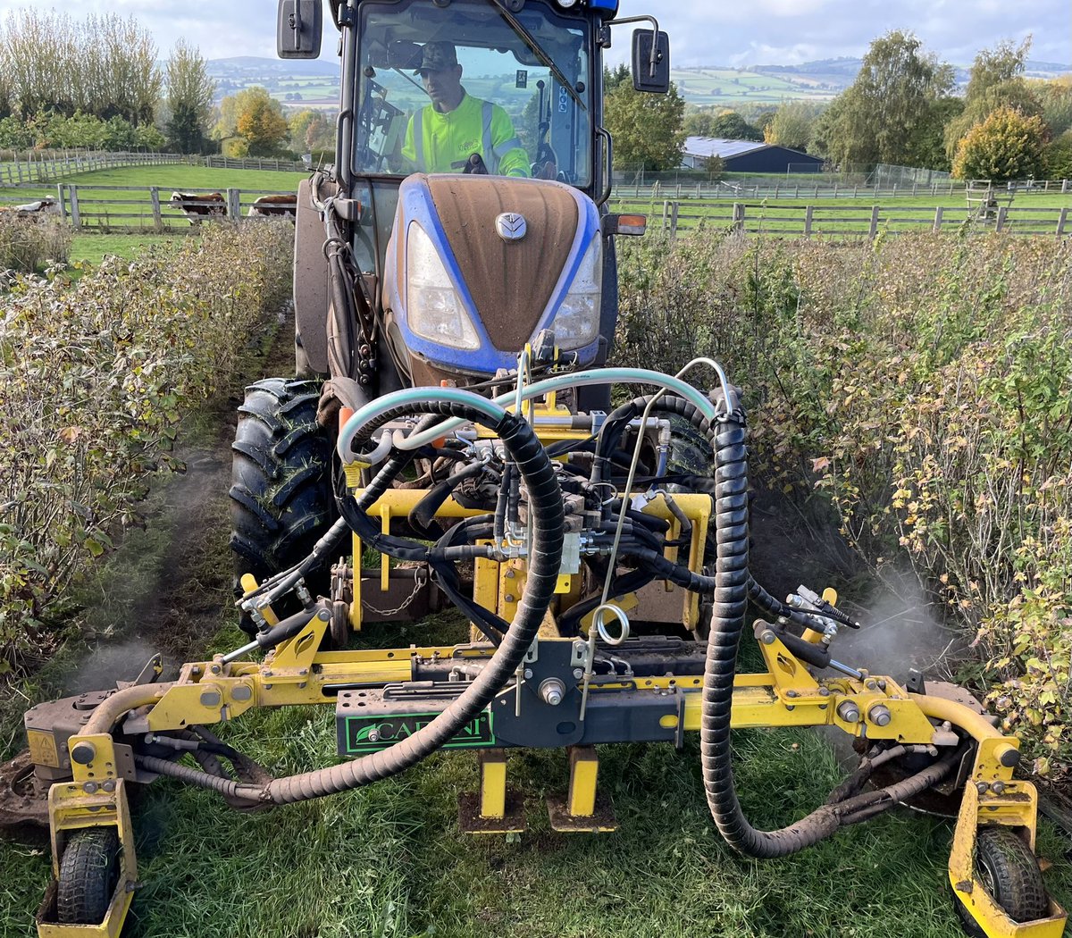 Anthony Snell tweet media