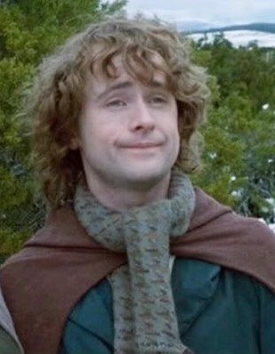 stevenewald's tweet photo. @elijahwood @MIAuniverse But what about second booster? https://t.co/UT35bkeA5K